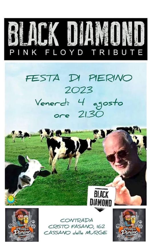 Questa sera