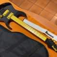 Ibanez Giò GRG010LTD-BK
Chitarra elettrica 24 tasti LIMITED EDITION
Custodia mor…