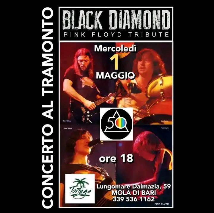 Concerto all’aperto
 #OGGI POMERIGGIO
 ore 17.30 
 #TORTUGA Lungomare Dalmazia, …