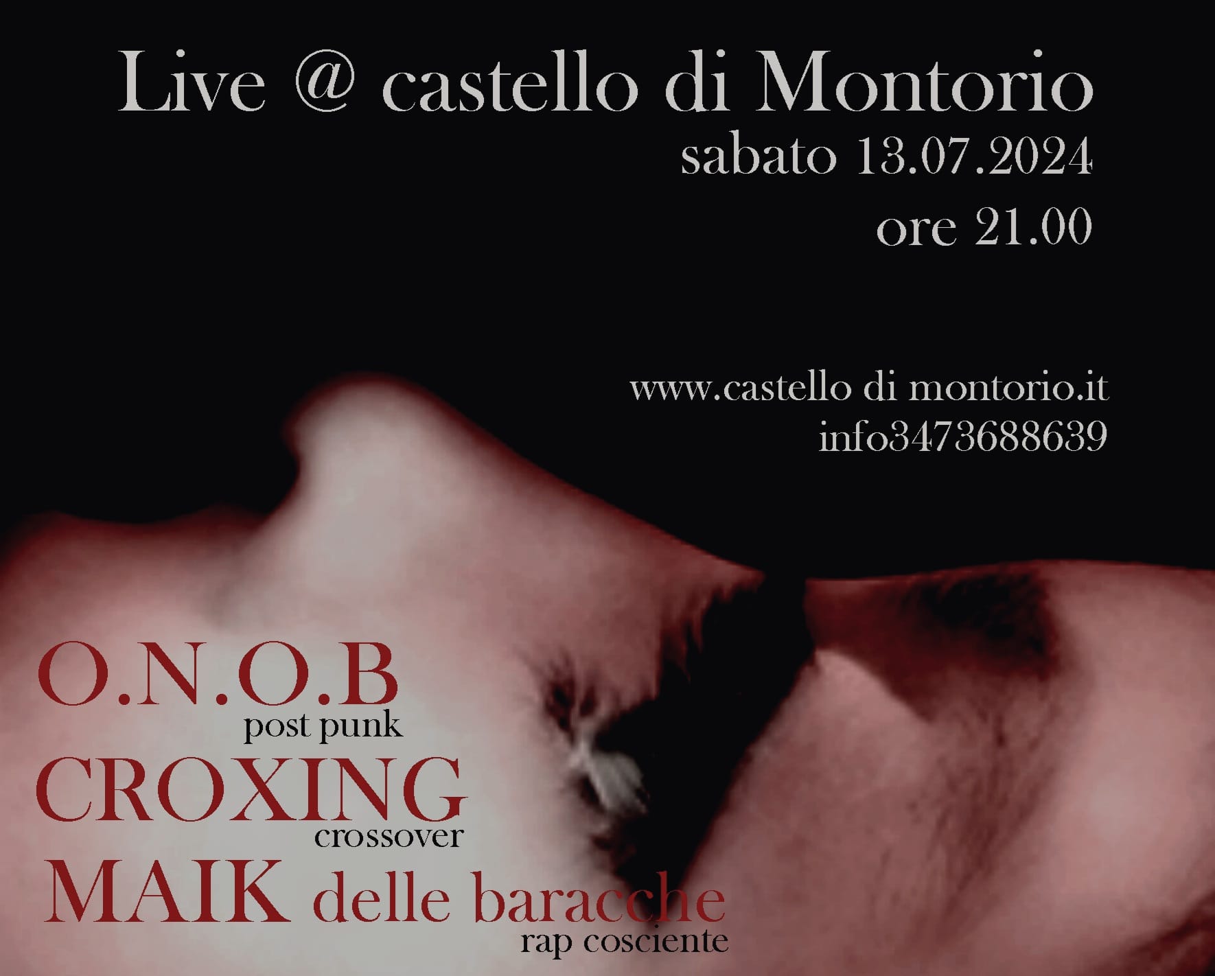 O.N.O.B + CROXING + MAIK delle baracche – 
 Live @ castello di Montorio (vr) 
 S…