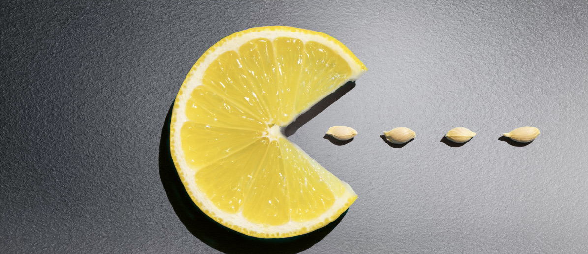 LEMONJAZZ FESTIVAL 2024
 SAVE THE DATE  6, 7, 8 Settembre