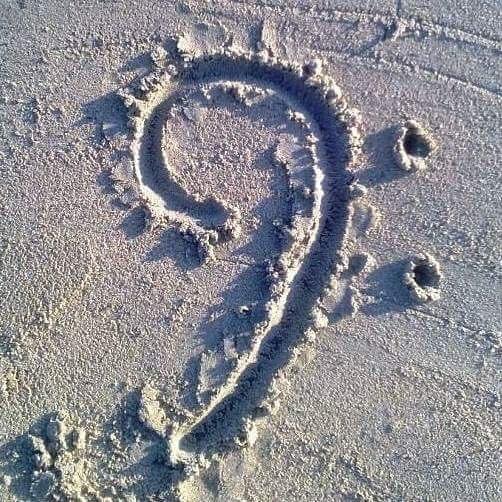 Conclusa alla grande la traversata nella galassia acquatica di #Tarquinia nell’…